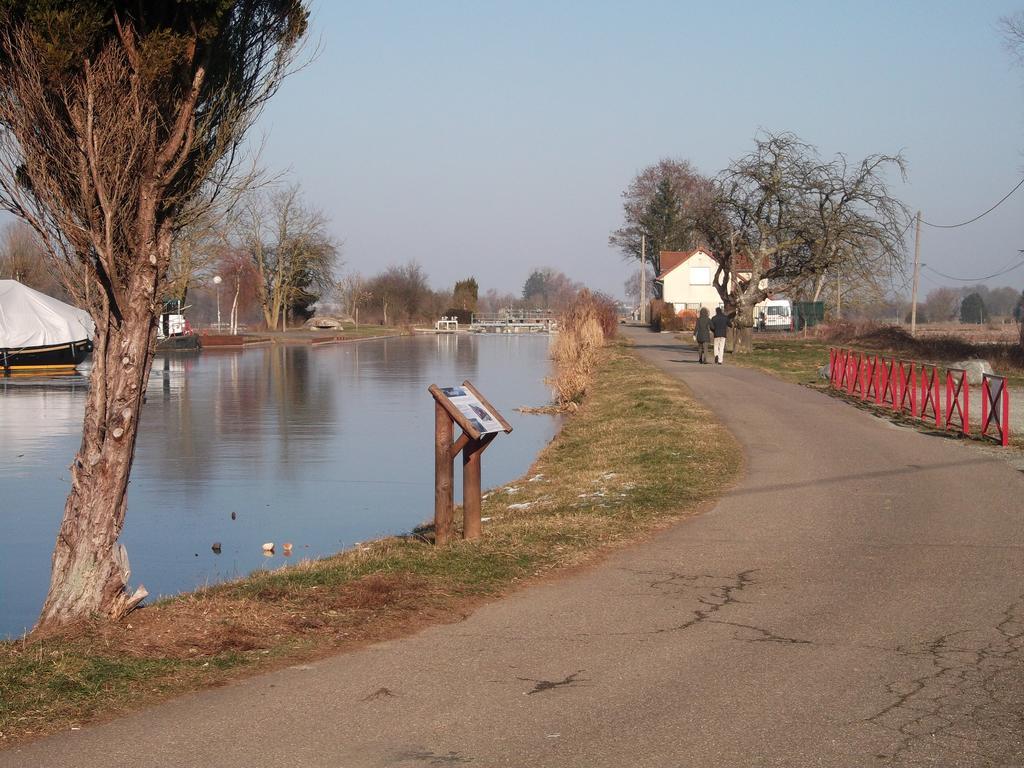Gite Les Rosiers Traubach-le-Bas Exteriör bild